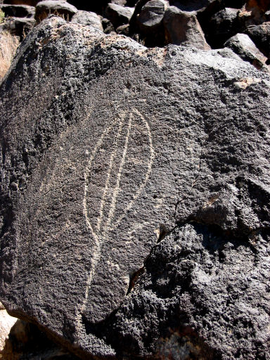 Petroglyph in Boca Negra Canyon