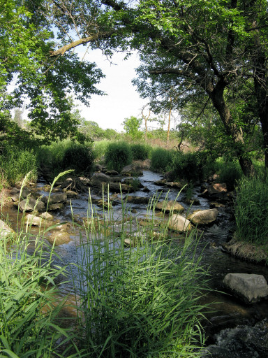 Pipestone Creek