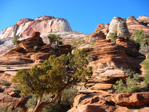 Hoodoos along trail to<BR>Zion Canyon Overlook